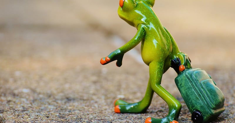 Valise parfaite : comment préparer un voyage optimal sans stress