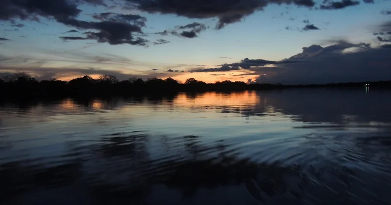 Les voyages écologiques en Amazonie : une immersion responsable