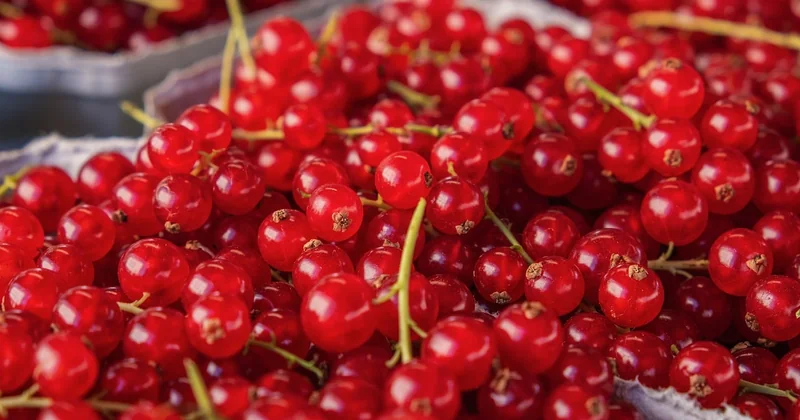 Saisonnalité : le vrai calendrier des marchés